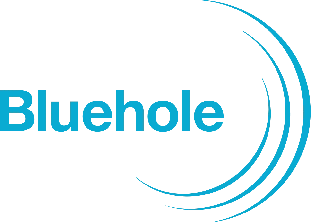 PUBG Corporation, Bluehole, Inc.