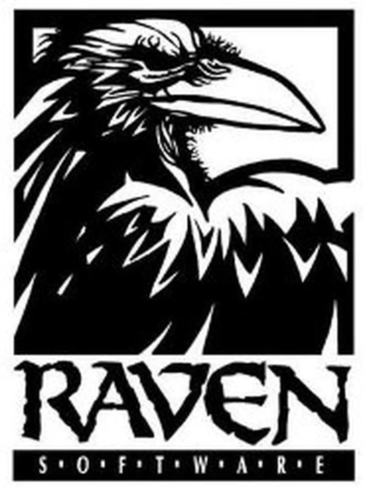 Raven Software — американская компания, разработчик компьютерных игр, расположенная в Мэдисоне (Висконсин).