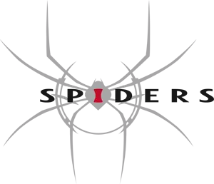Spiders - основанный несколькими французскими разработчиками, которые ранее работали над игрой Silverfall и ее дополнением, и решили вместе начать новое предприятие.