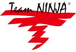 Team NINJA — японская компания издательства Koei Tecmo, занимающаяся разработкой компьютерных игр, основанная в 1995 году.
